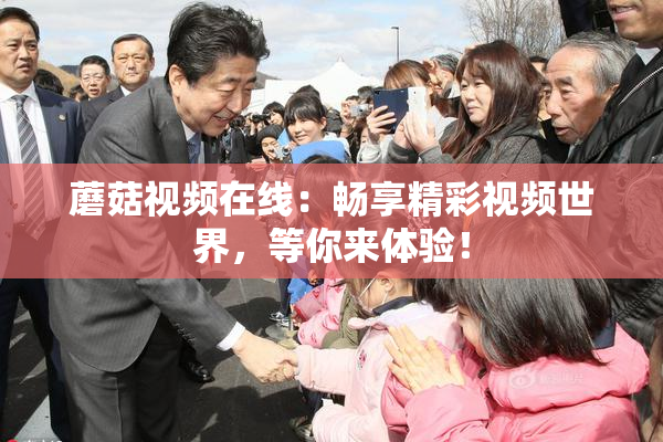 蘑菇视频在线：畅享精彩视频世界，等你来体验！