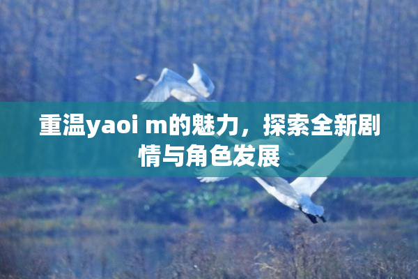 重温yaoi m的魅力，探索全新剧情与角色发展