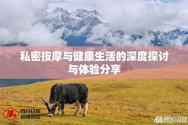私密按摩与健康生活的深度探讨与体验分享