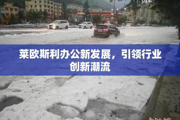 莱欧斯利办公新发展，引领行业创新潮流