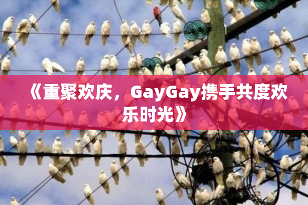 《重聚欢庆，GayGay携手共度欢乐时光》