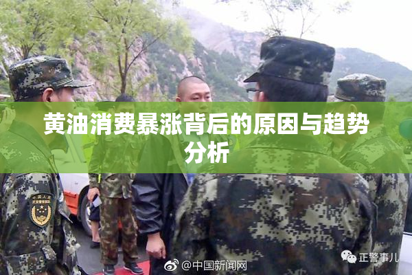 黄油消费暴涨背后的原因与趋势分析