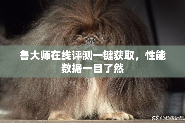 鲁大师在线评测一键获取，性能数据一目了然