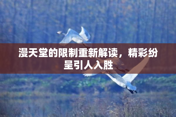 漫天堂的限制重新解读，精彩纷呈引人入胜