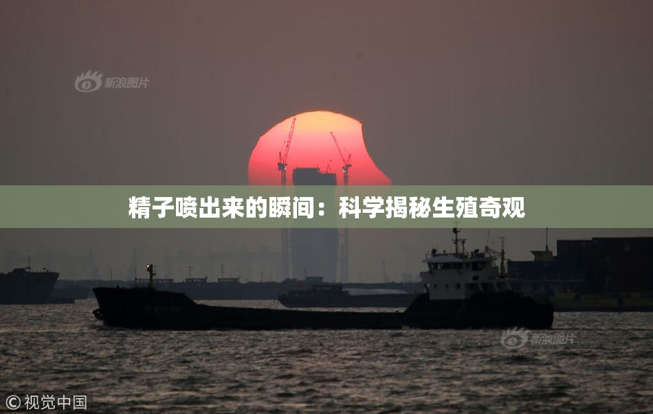 精子喷出来的瞬间：科学揭秘生殖奇观