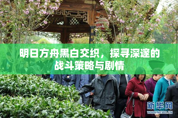 明日方舟黑白交织，探寻深邃的战斗策略与剧情