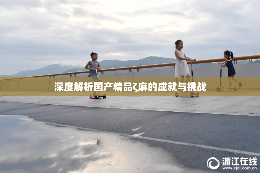 深度解析国产精品ζ麻的成就与挑战