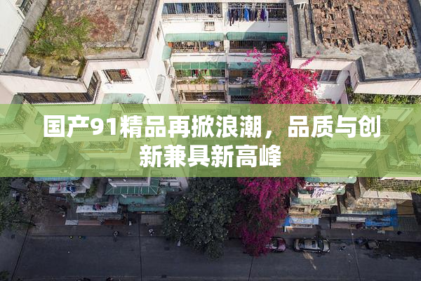 国产91精品再掀浪潮，品质与创新兼具新高峰