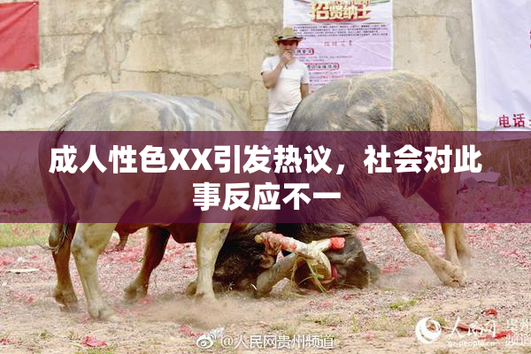 成人性色XX引发热议，社会对此事反应不一