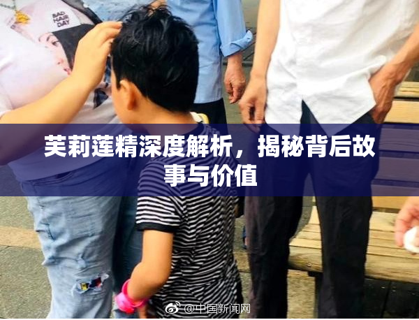 芙莉莲精深度解析，揭秘背后故事与价值