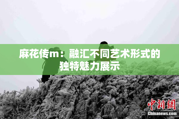 麻花传m：融汇不同艺术形式的独特魅力展示