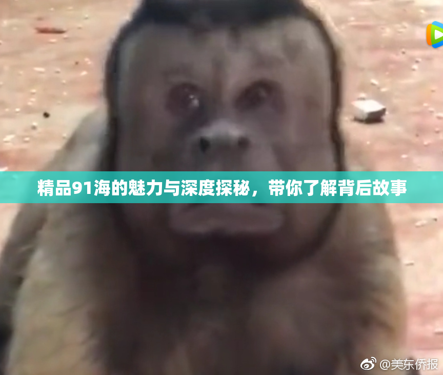 精品91海的魅力与深度探秘，带你了解背后故事
