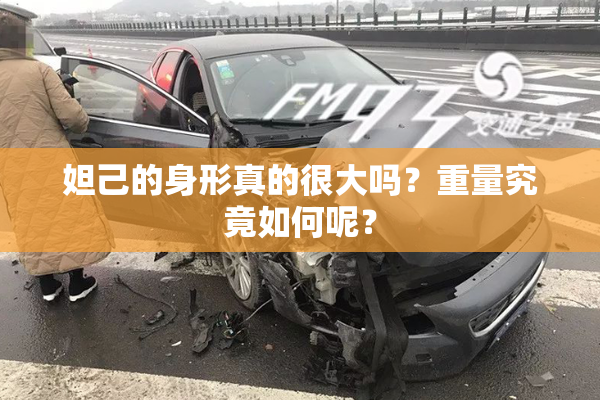 妲己的身形真的很大吗？重量究竟如何呢？