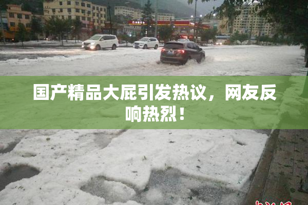 国产精品大屁引发热议，网友反响热烈！