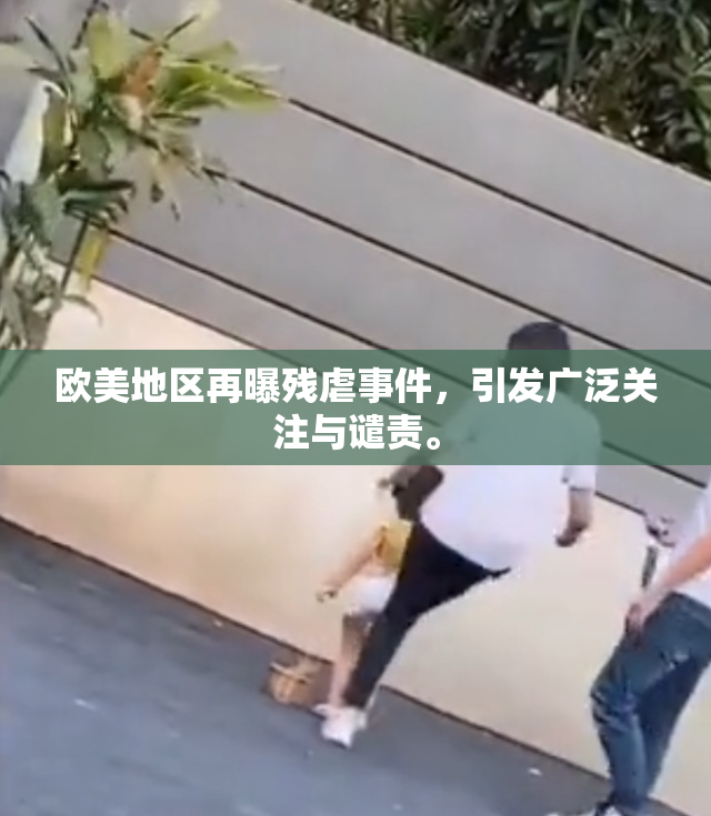 欧美地区再曝残虐事件，引发广泛关注与谴责。