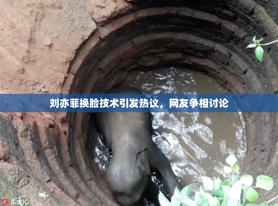 刘亦菲换脸技术引发热议，网友争相讨论