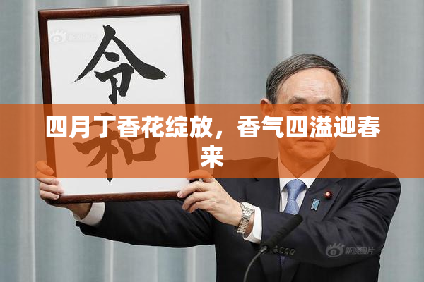 四月丁香花绽放，香气四溢迎春来