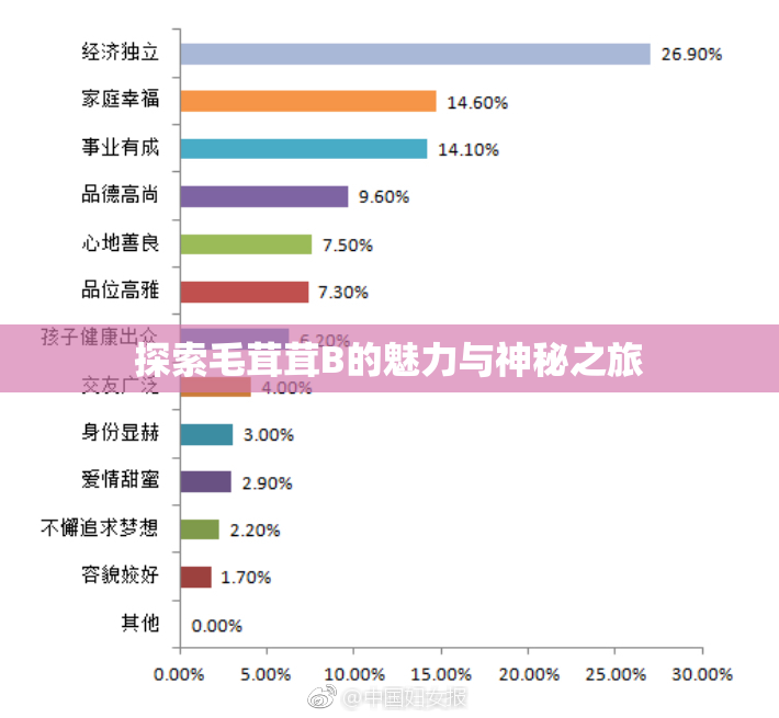 探索毛茸茸B的魅力与神秘之旅