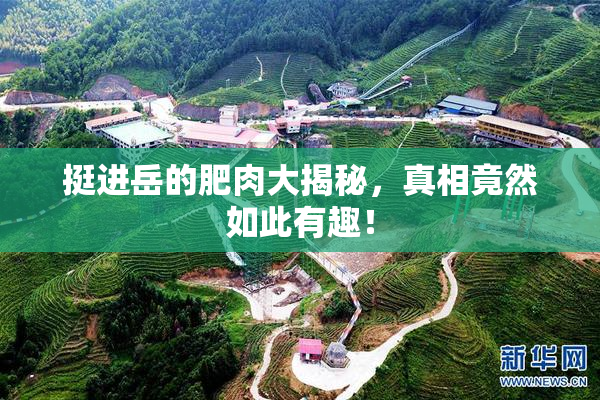 挺进岳的肥肉大揭秘，真相竟然如此有趣！