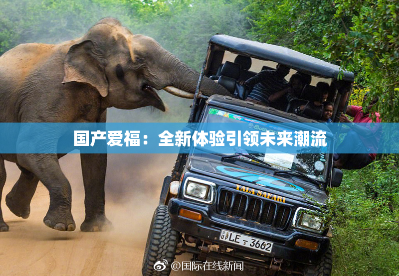 国产爱福：全新体验引领未来潮流
