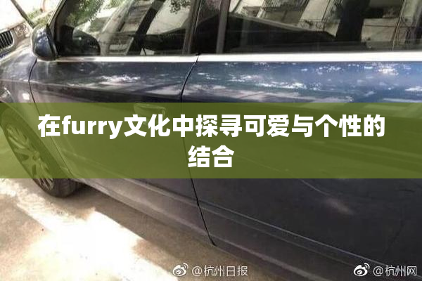 在furry文化中探寻可爱与个性的结合