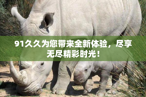 91久久为您带来全新体验，尽享无尽精彩时光！