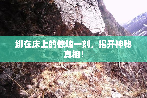 绑在床上的惊魂一刻，揭开神秘真相！