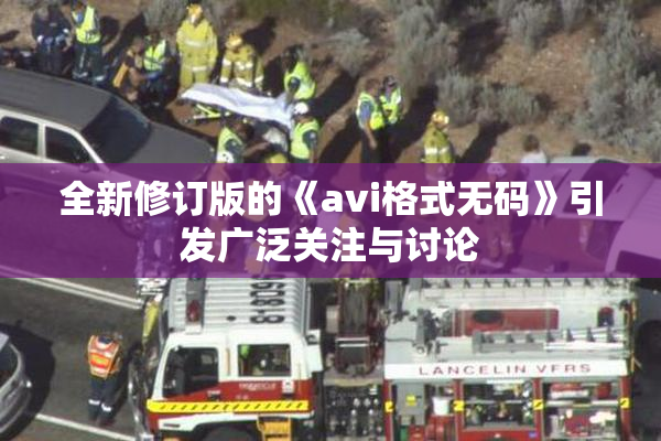 全新修订版的《avi格式无码》引发广泛关注与讨论