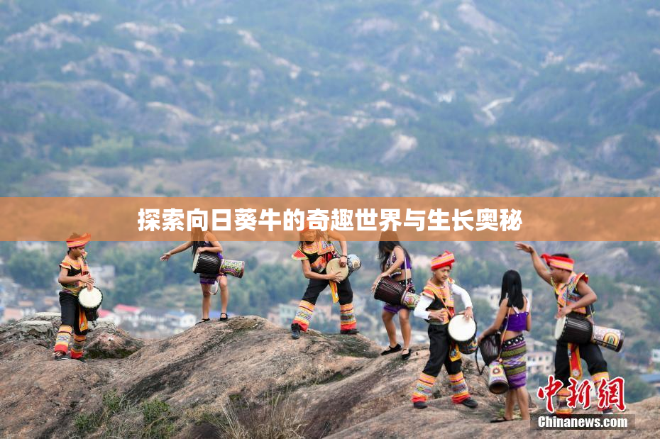 探索向日葵牛的奇趣世界与生长奥秘