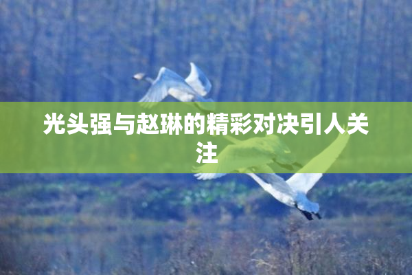 光头强与赵琳的精彩对决引人关注