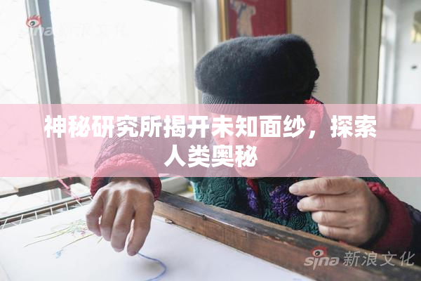 神秘研究所揭开未知面纱，探索人类奥秘