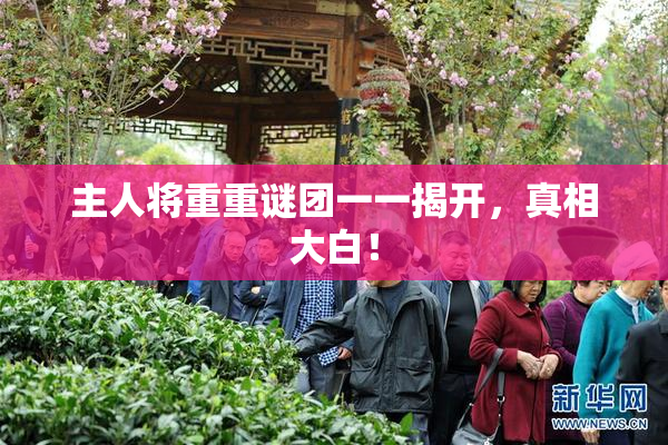主人将重重谜团一一揭开，真相大白！