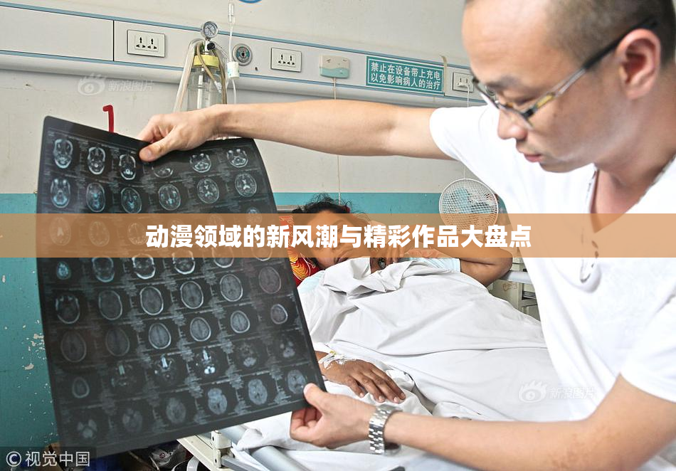 动漫领域的新风潮与精彩作品大盘点
