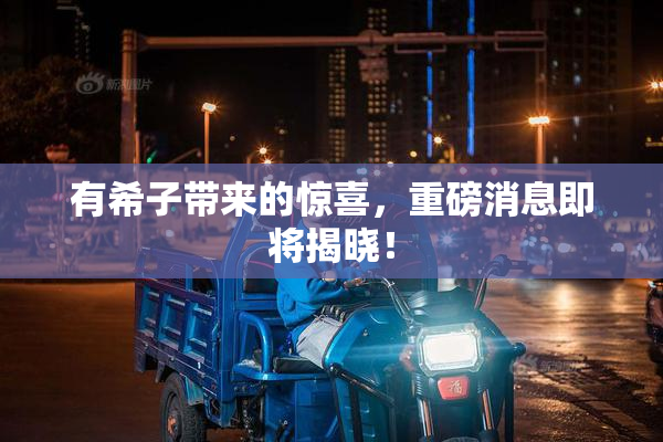 有希子带来的惊喜，重磅消息即将揭晓！