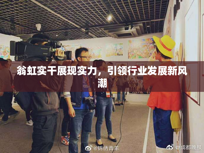 翁虹实干展现实力，引领行业发展新风潮