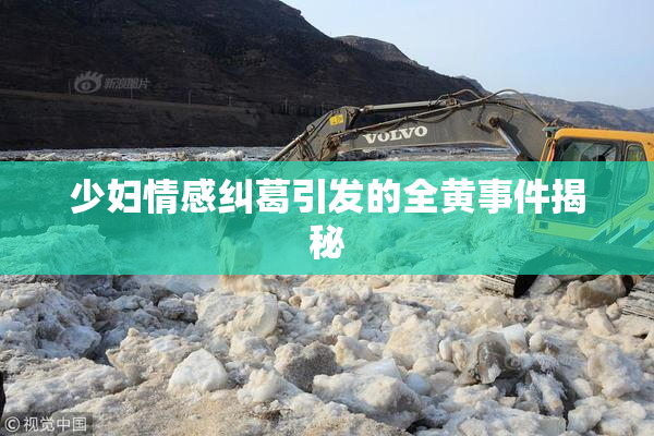 少妇情感纠葛引发的全黄事件揭秘