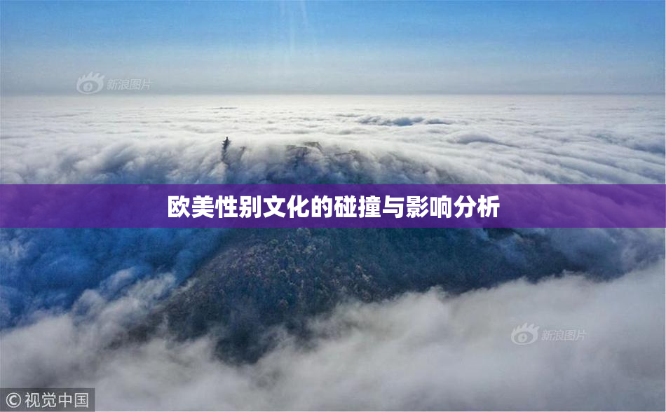 欧美性别文化的碰撞与影响分析