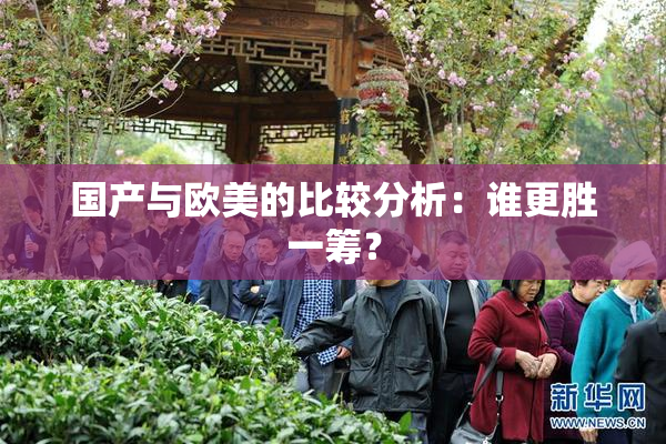 国产与欧美的比较分析：谁更胜一筹？