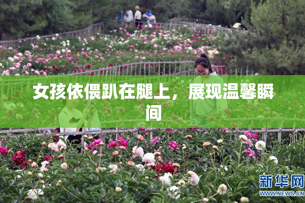 女孩依偎趴在腿上，展现温馨瞬间