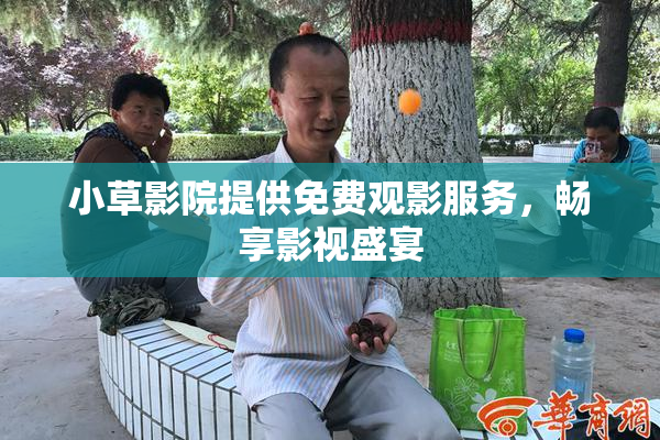 小草影院提供免费观影服务，畅享影视盛宴