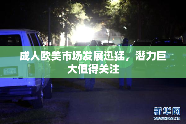 成人欧美市场发展迅猛，潜力巨大值得关注