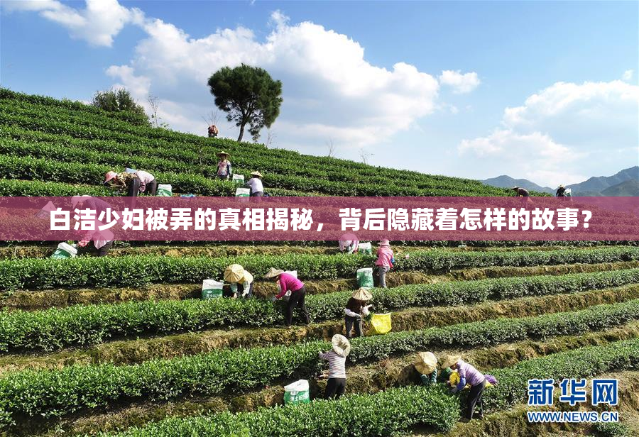 白洁少妇被弄的真相揭秘，背后隐藏着怎样的故事？
