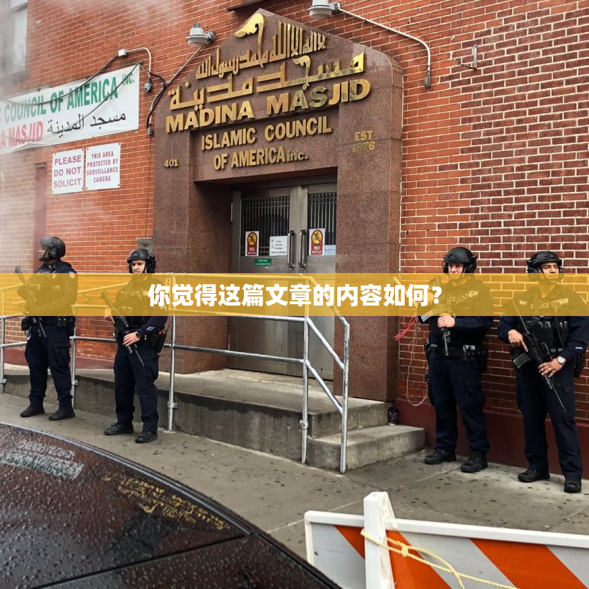 你觉得这篇文章的内容如何？