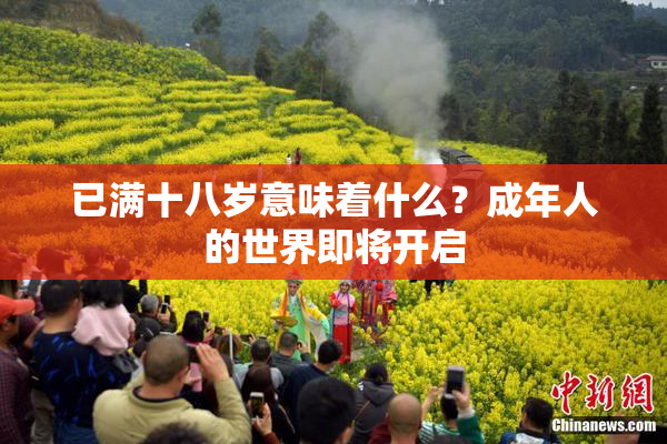 已满十八岁意味着什么？成年人的世界即将开启