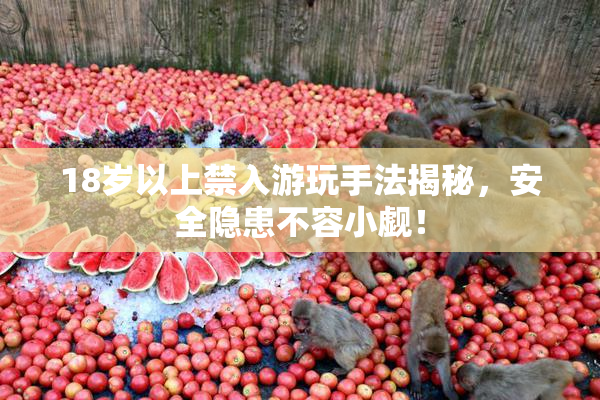 18岁以上禁入游玩手法揭秘，安全隐患不容小觑！