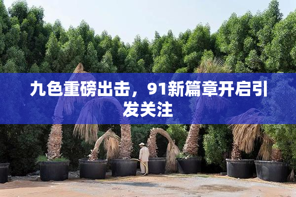 九色重磅出击，91新篇章开启引发关注