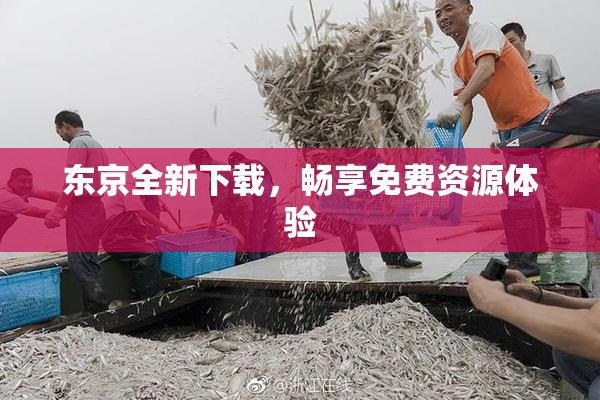 东京全新下载，畅享免费资源体验