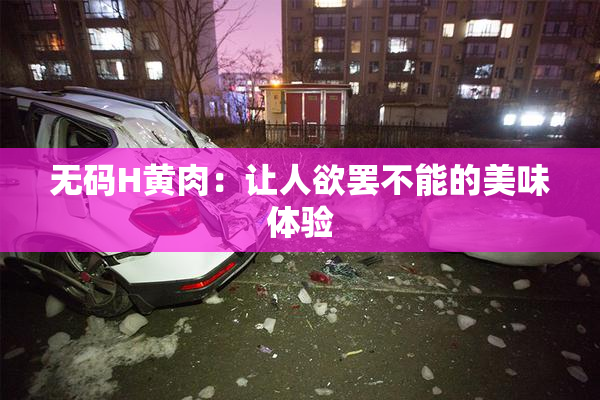 无码H黄肉：让人欲罢不能的美味体验