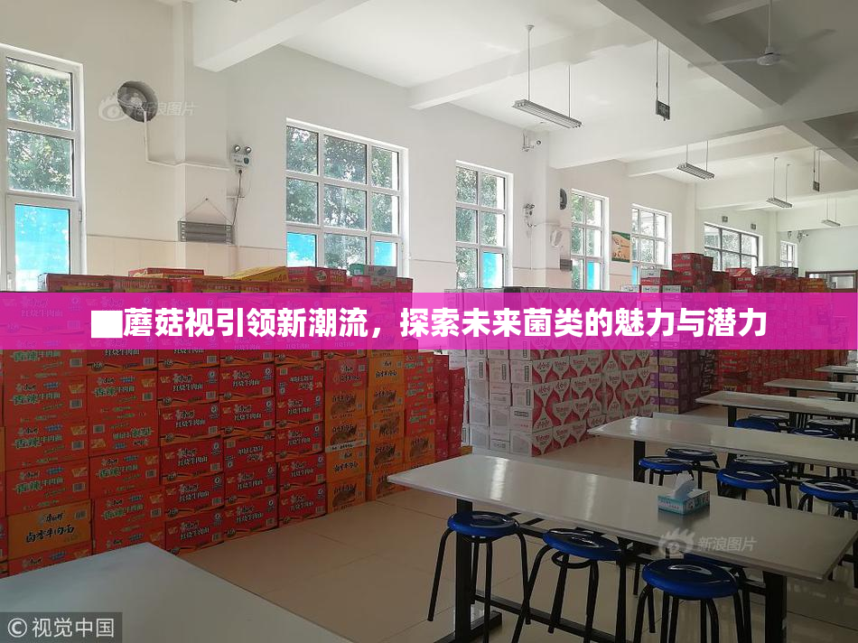 ▇蘑菇视引领新潮流，探索未来菌类的魅力与潜力