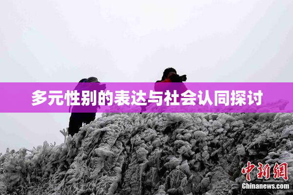 多元性别的表达与社会认同探讨